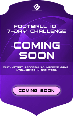 MINI-COURSE - Back