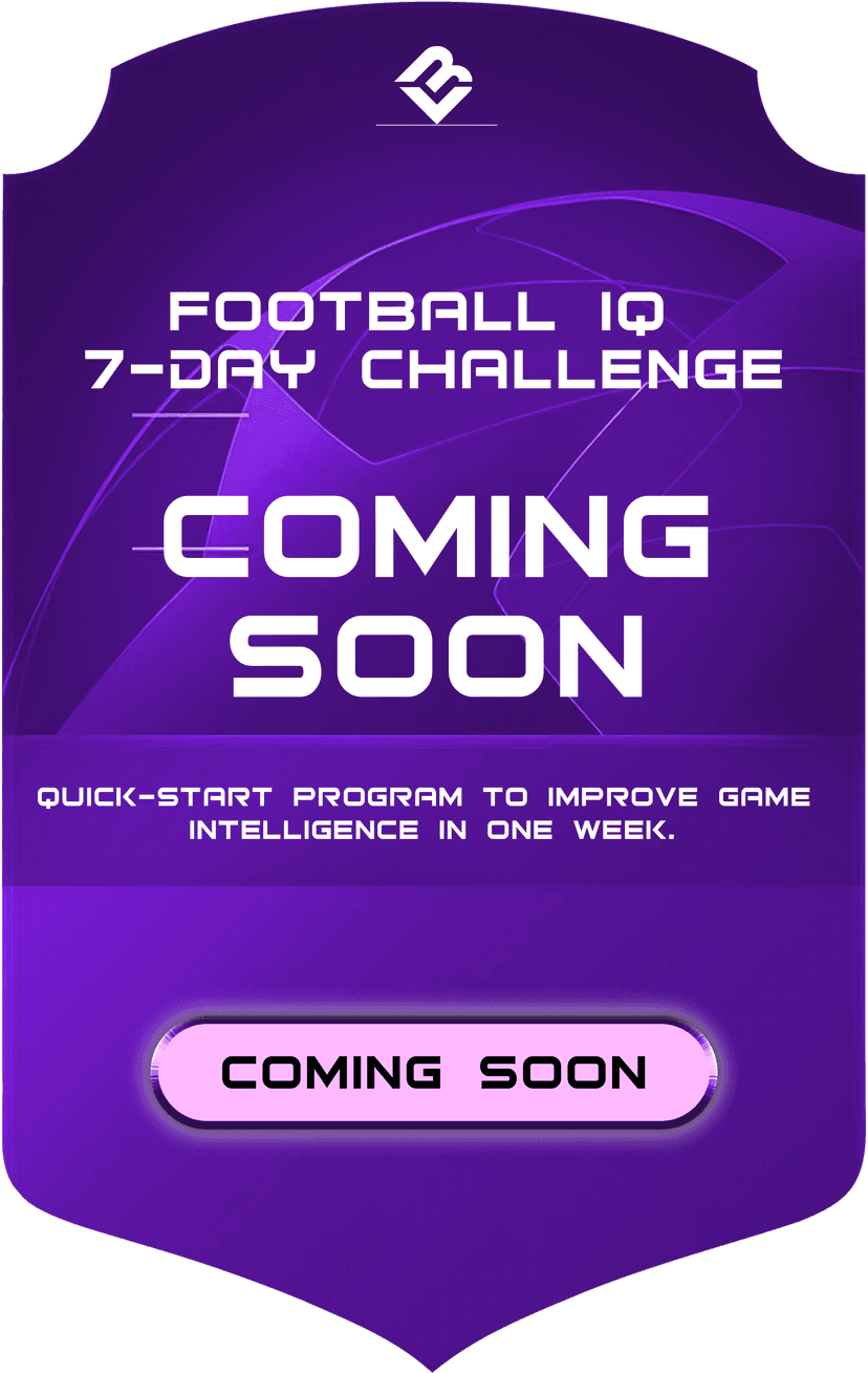 MINI-COURSE - Back