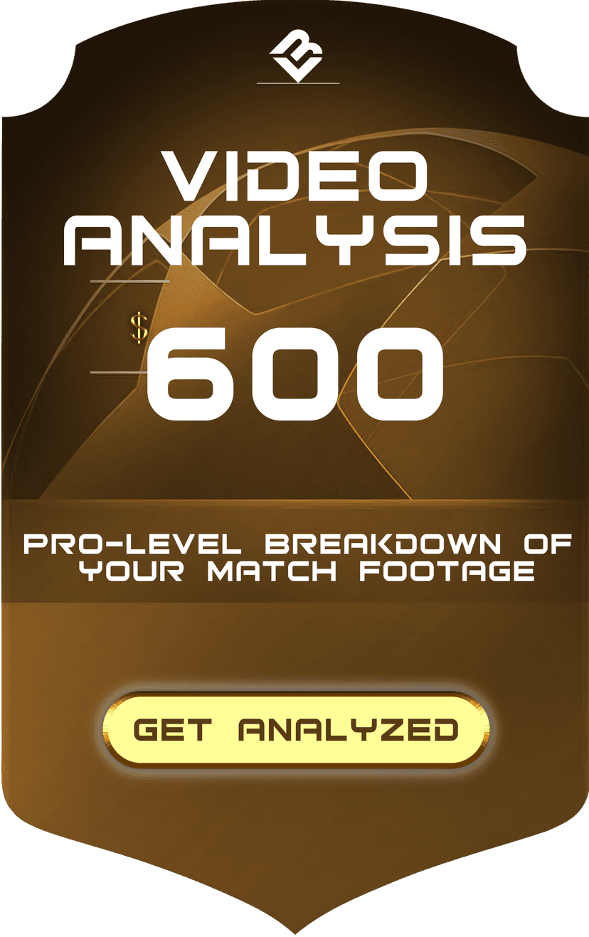 VIDEO ANALYSIS - Back